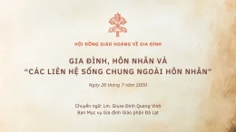 TÀI LIỆU: “GIA ĐÌNH, HÔN NHÂN VÀ CÁC ‘LIÊN HỆ SỐNG CHUNG NGOÀI HÔN NHÂN'” CỦA HỘI ĐỒNG GIÁO HOÀNG VỀ GIA ĐÌNH