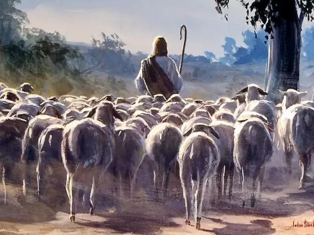 Chúa Nhật IV Phục Sinh – Chúa Nhật Chúa Chiên Lành – Năm C