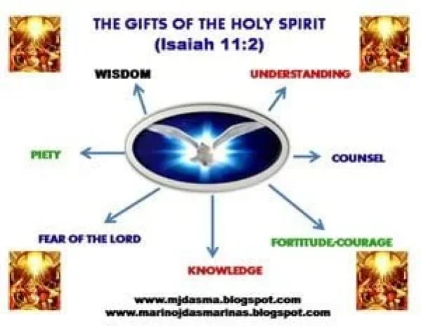 Ngày Thế Giới Cầu Nguyện Cho Việc Chăm Sóc Thụ Tạo – 01/09/2023