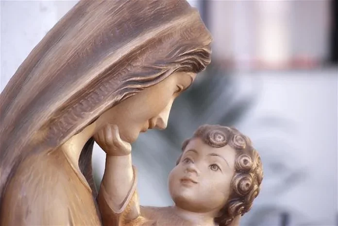 TOÀN THỂ GIÁO HỮU VIỆT NAM HẾT LÒNG TIN TƯỞNG CHẠY ĐẾN CÙNG MẸ!