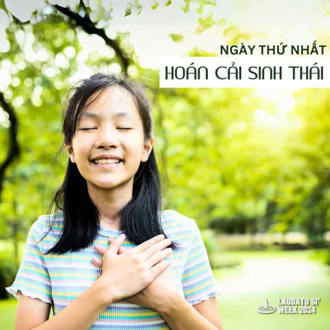 Tuần lễ Laudato Sí 2024 – Ngày 1: Hoán cải sinh thái