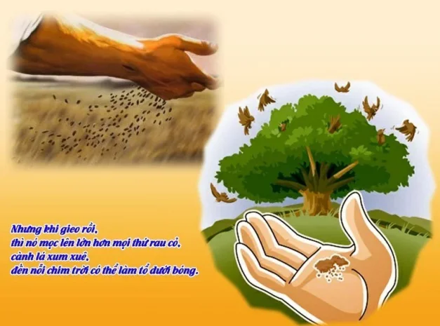 Thứ Hai, Tuần XVII Thường Niên