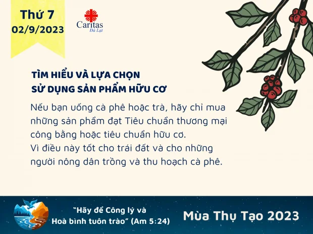 LỊCH SỬ CUỘC LY KHAI CỦA GIÁO HỘI TIN LÀNH