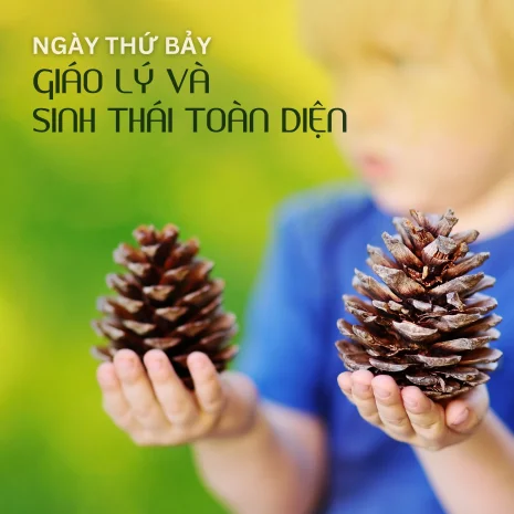 Tuần lễ Laudato Sí 2024 – Ngày 7: Giáo Lý và Sinh Thái Toàn Diện