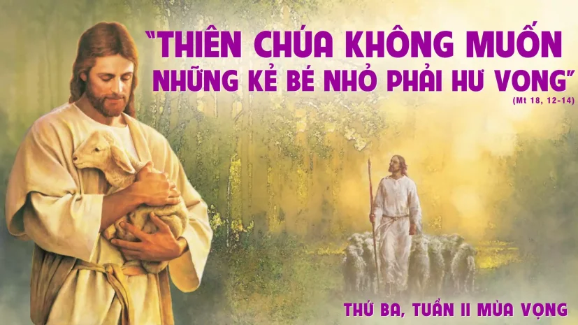 Thứ Ba, Tuần II Mùa Vọng