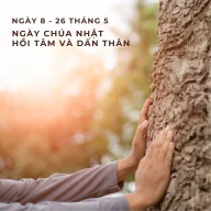 Tuần lễ Laudato Sí 2024 – Ngày 8: Chúa Nhật Hồi tâm và Dấn thân