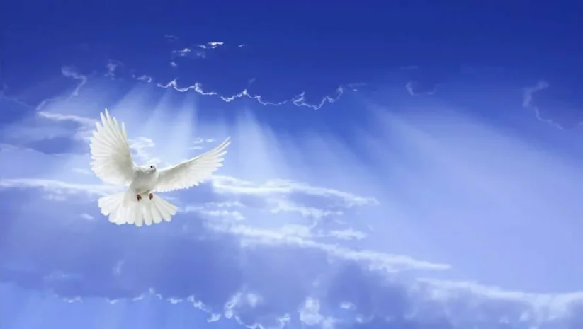 Thứ Tư, Tuần VI Phục Sinh