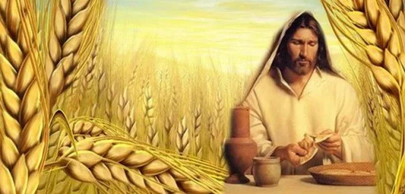 Thứ Tư, Tuần III Thường Niên