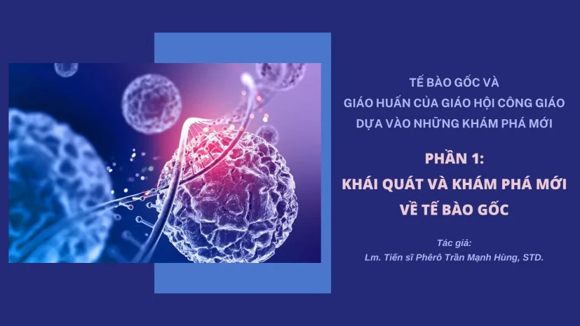 Tế Bào Gốc Và Giáo Huấn Của Giáo Hội Công Giáo Dựa Vào Những Khám Phá Mới.