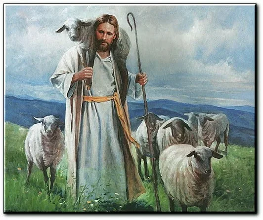 CHÚA LÀ MỤC TỬ NHÂN LÀNH HAY THƯƠNG XÓT