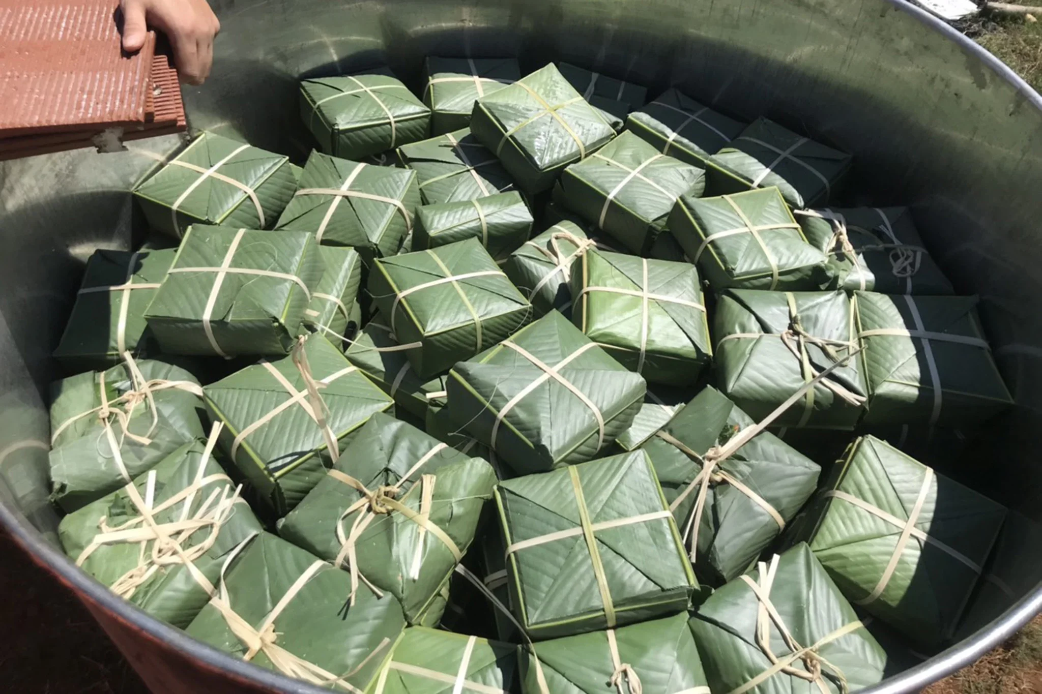 Giáo xứ La Vang (Bảo Lộc): Xuân Giáp Thìn – XUÂN YÊU THƯƠNG, TẾT SẺ CHIA