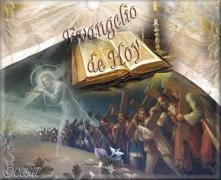 Thứ Hai, Tuần XV Thường Niên