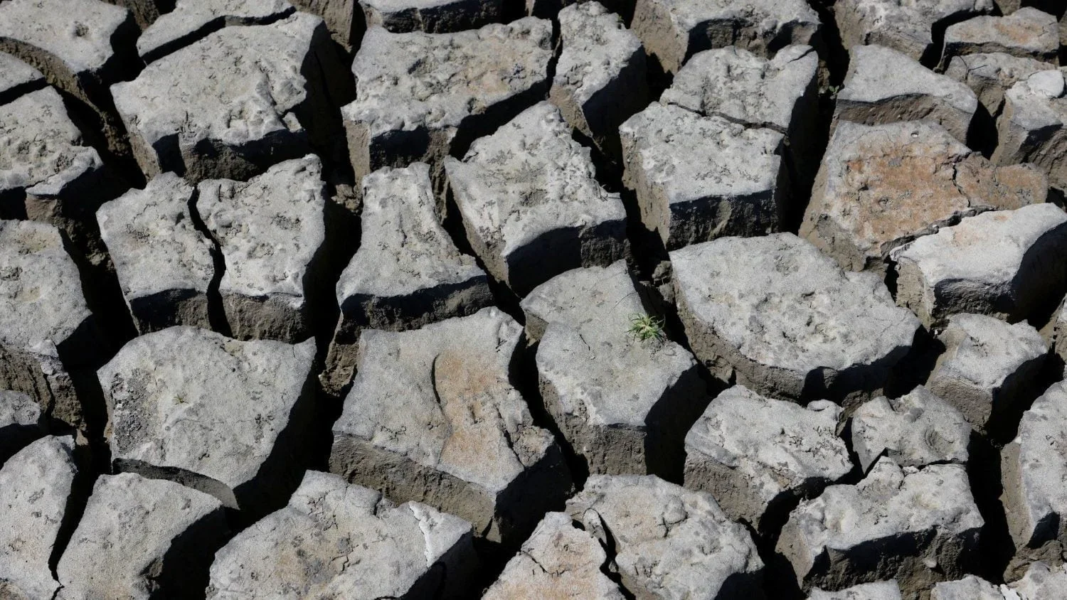 Các Giám mục Hoa Kỳ chào mừng Đạo luật Giảm lạm phát