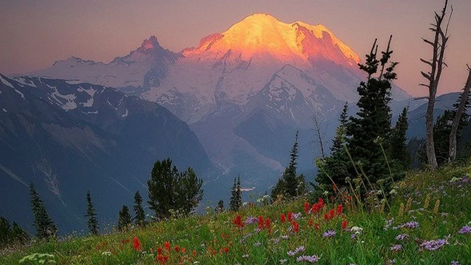 Giới trẻ Trung Á tổ chức Lễ hội chờ đợi Đức Thánh Cha viếng thăm Kazakhstan