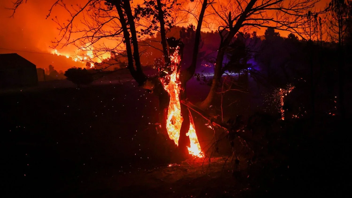 Các GM châu Âu: Ở châu Âu, 97% thảm hoạ môi trường là do con người