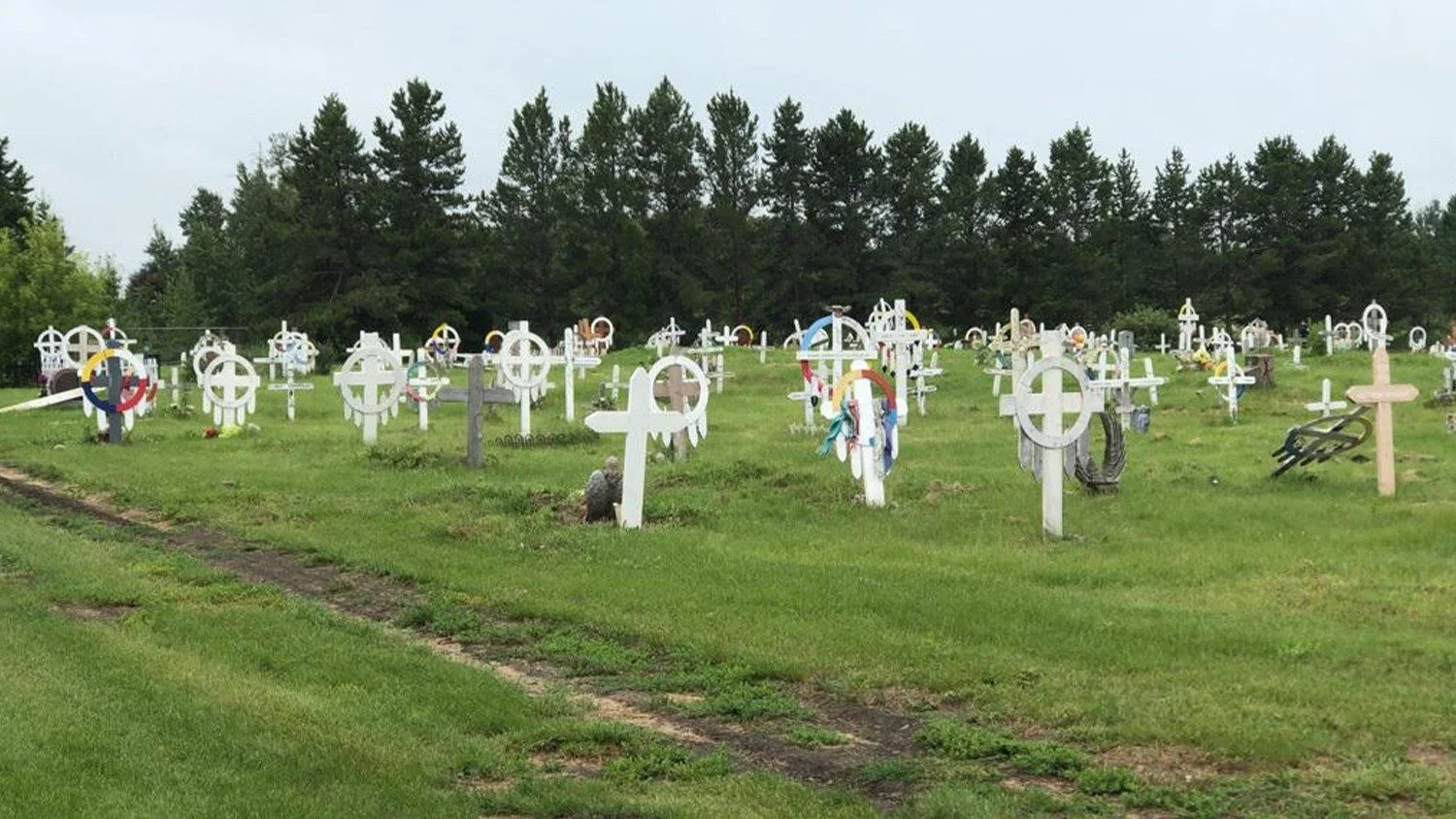 Các Giám mục California phản đối ủ xác người làm phân bón