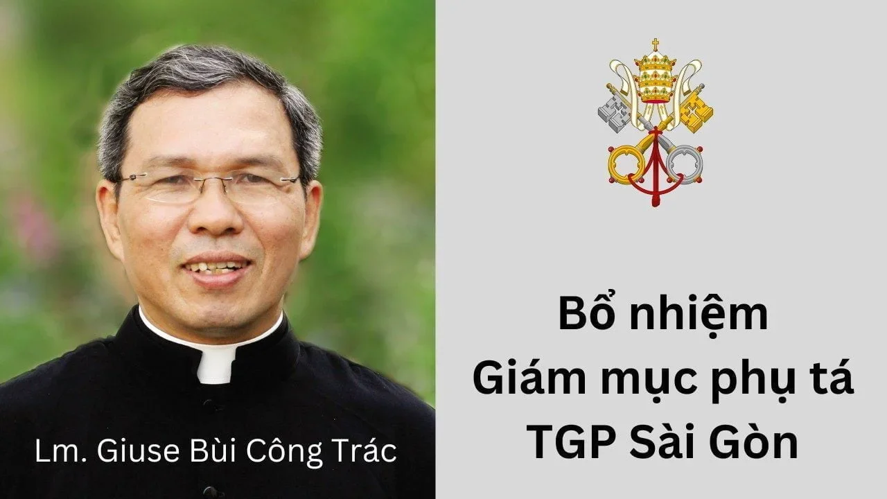 Bổ nhiệm Giám mục phụ tá Tổng giáo phận TpHCM