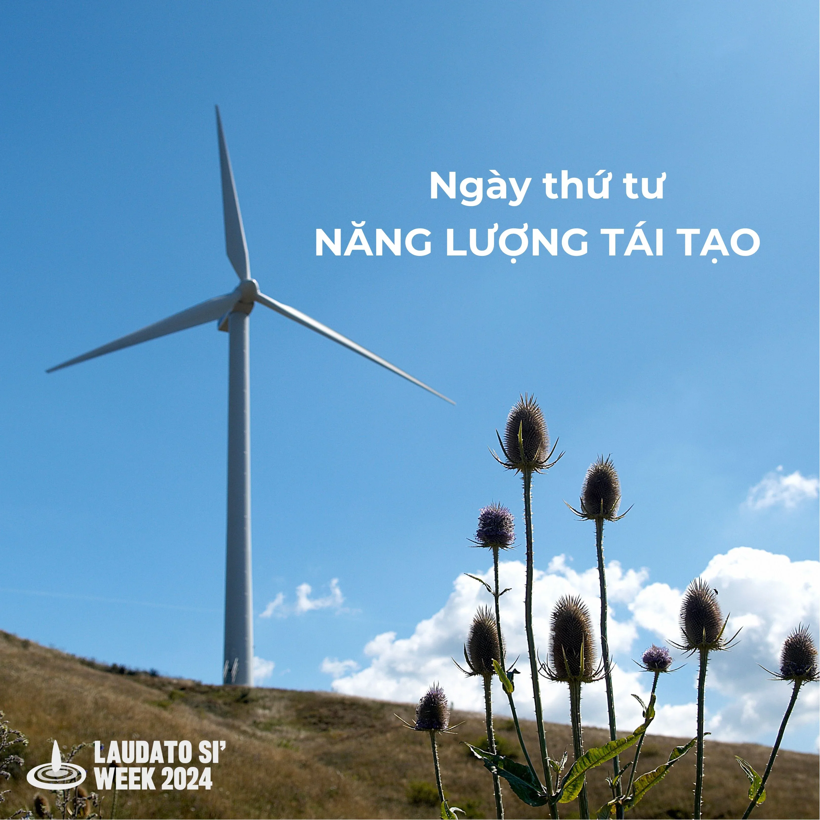 Tuần lễ Laudato Sí 2024 – Ngày 4: Năng lượng tái tạo