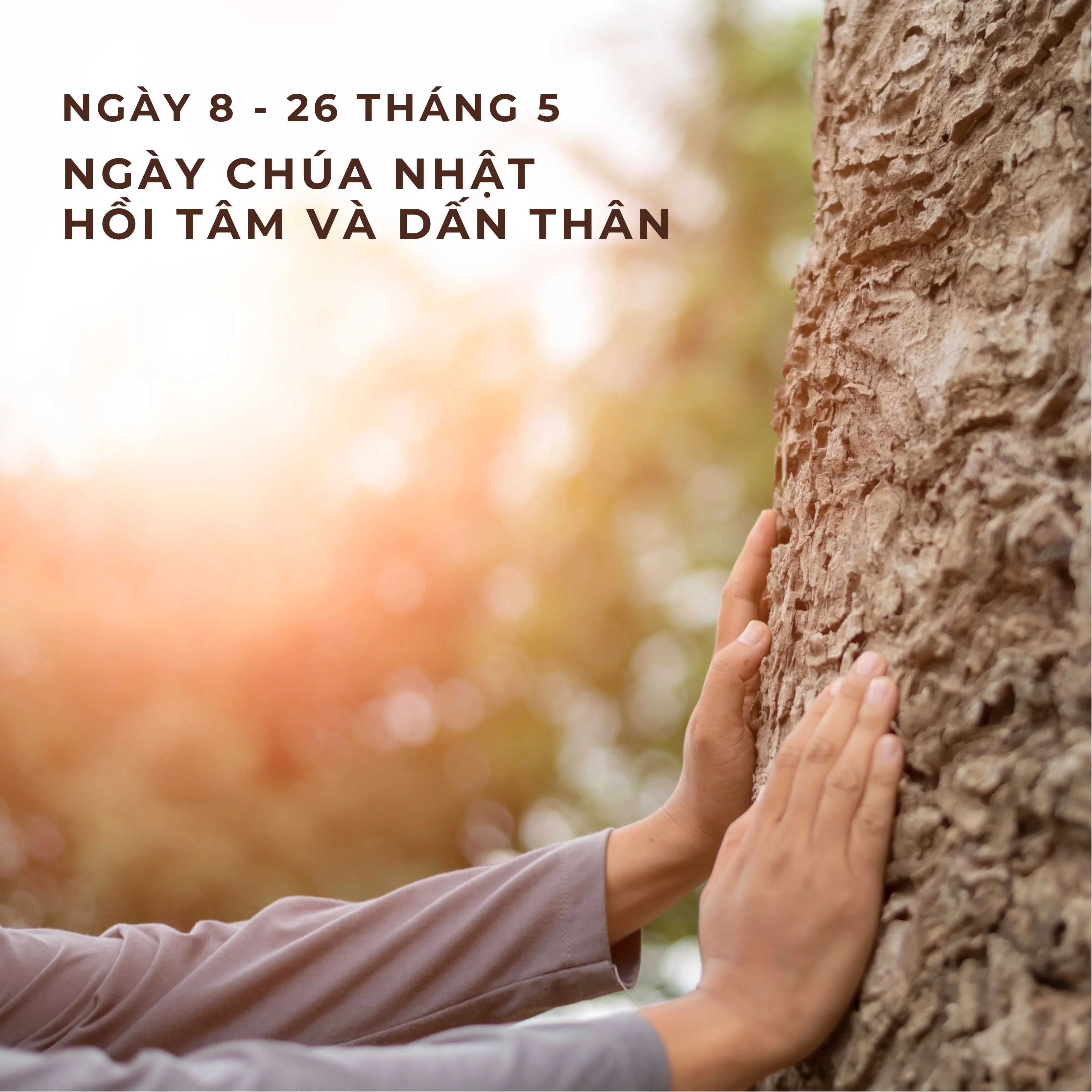 Tuần lễ Laudato Sí 2024 – Ngày 8: Chúa Nhật Hồi tâm và Dấn thân