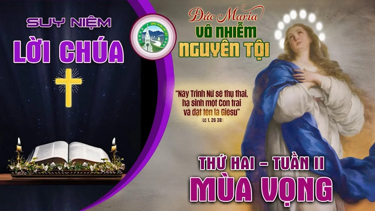 Suy Niệm Lời Chúa – Thứ Hai Tuần II Mùa vọng Năm A – Đức Mẹ Vô Nhiễm Nguyên Tội.