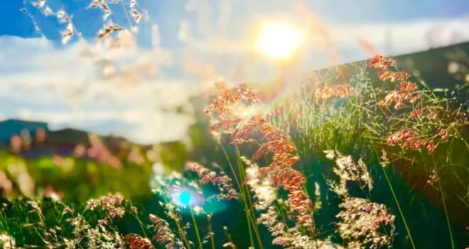 THANH LUYỆN Ý HƯỚNG VÀ VƯỢT QUA NỖI SỢ HÃI CỦA CHÚNG TA