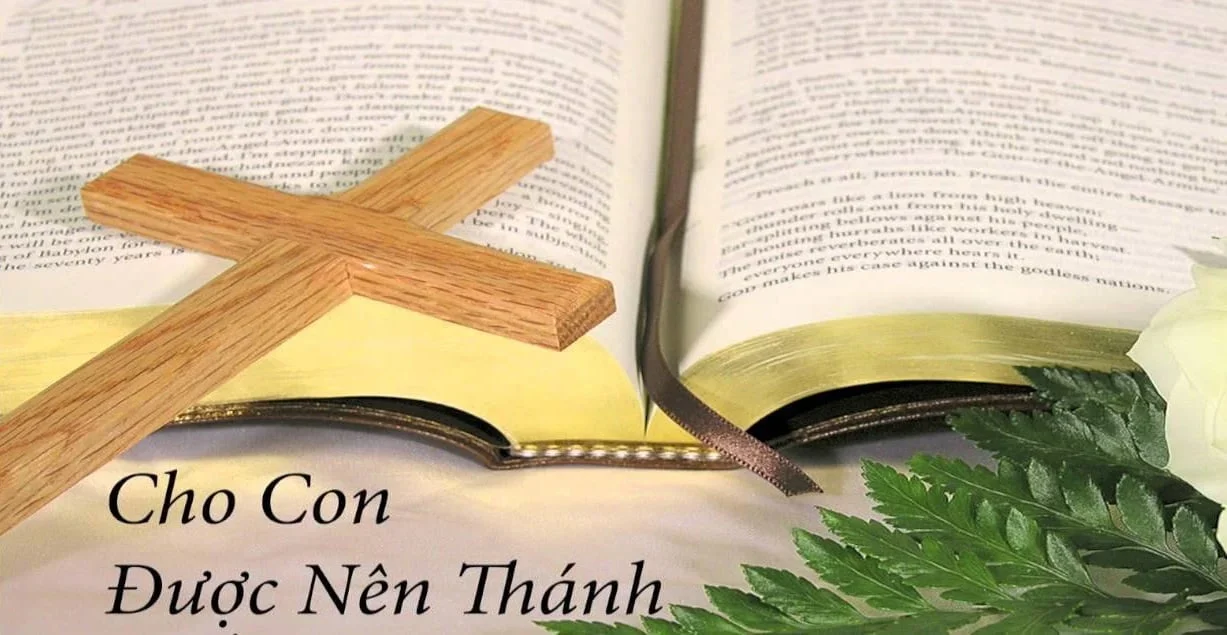 Thánh Ý Chúa Trong Cuộc Đời (2)