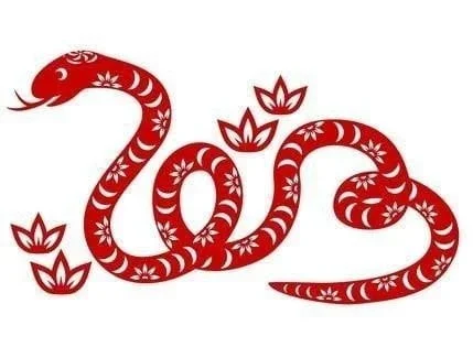 Những Năm Tỵ Trong Lịch Sử Giáo Hội Tại Việt Nam