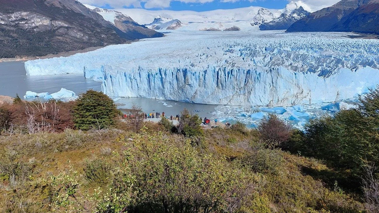 Đức Hồng Y Czerny kêu gọi hành động cụ thể để cứu lấy Trái Đất – ngôi nhà chung của chúng ta
