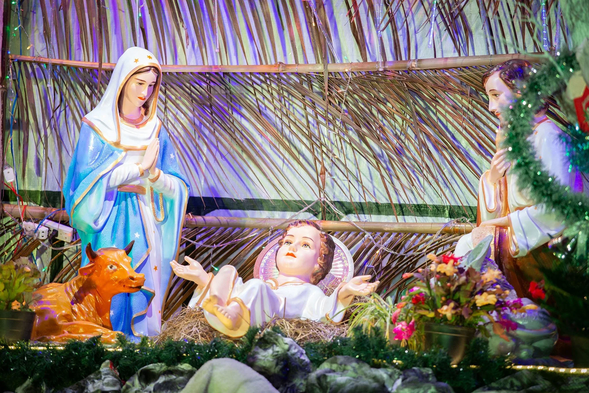 Giáo Xứ Tân Bình (Bảo Lộc): Diễn Nguyện Và Thánh Lễ Đêm Giáng Sinh