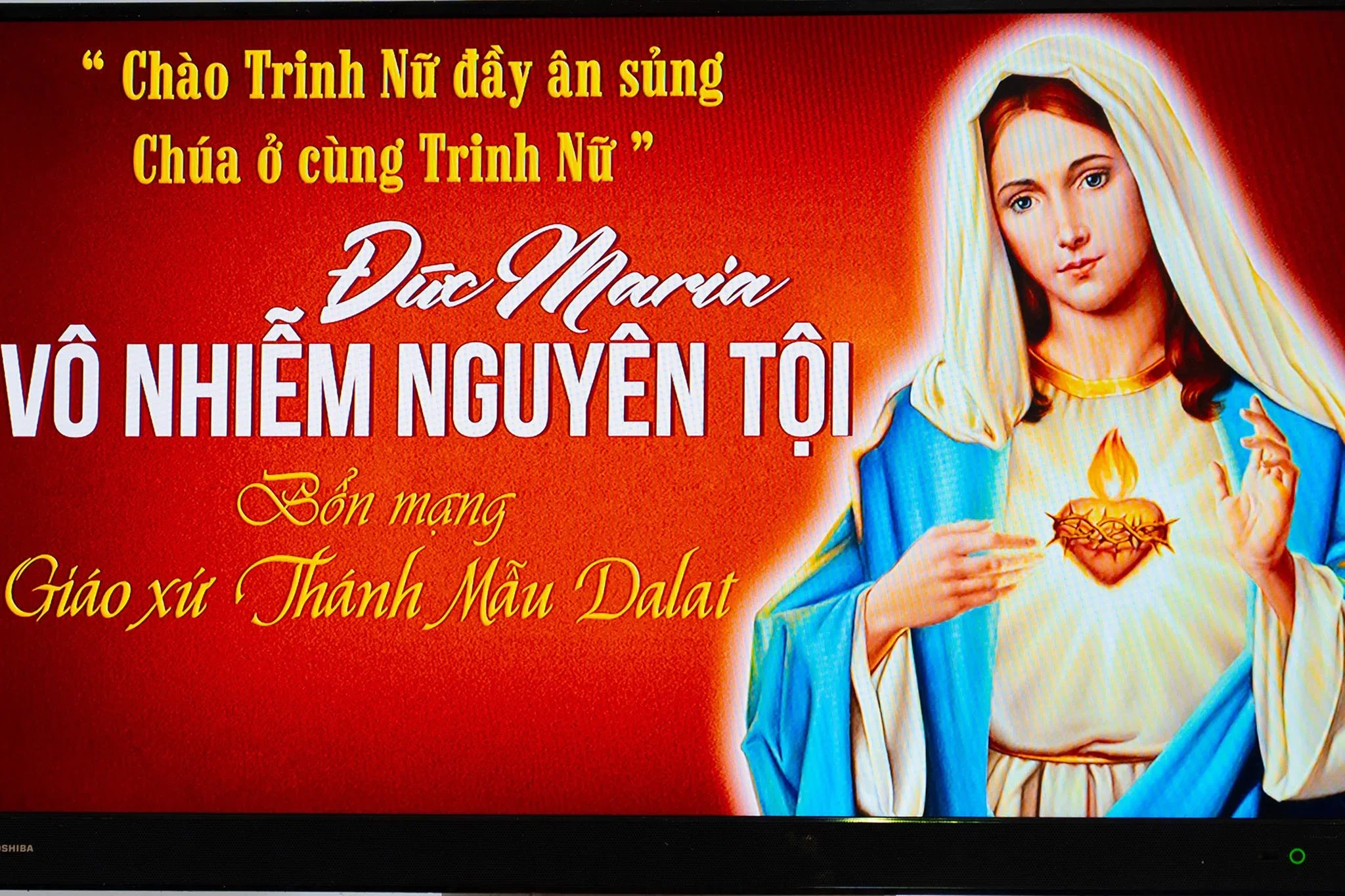 Lễ Đức Mẹ Vô Nhiễm Nguyên Tội – Bổn Mạng Giáo Xứ Thánh Mẫu (Đà Lạt)