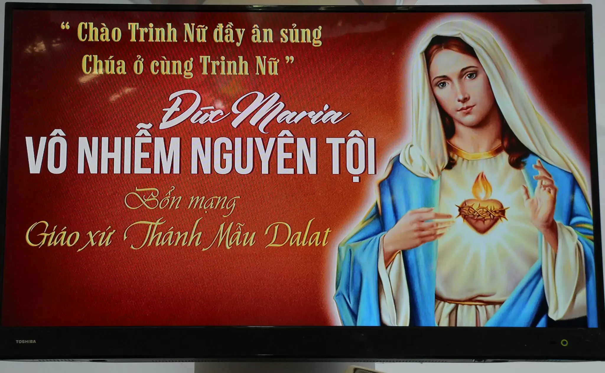 Giáo Xứ Thánh Mẫu (Đà Lạt): Tuần Hồng Phúc Mừng Lễ Bổn Mạng và Khai mạc Kỷ Niệm 70 Năm Giáo Xứ Được Thiết Lập Và Phát Triển