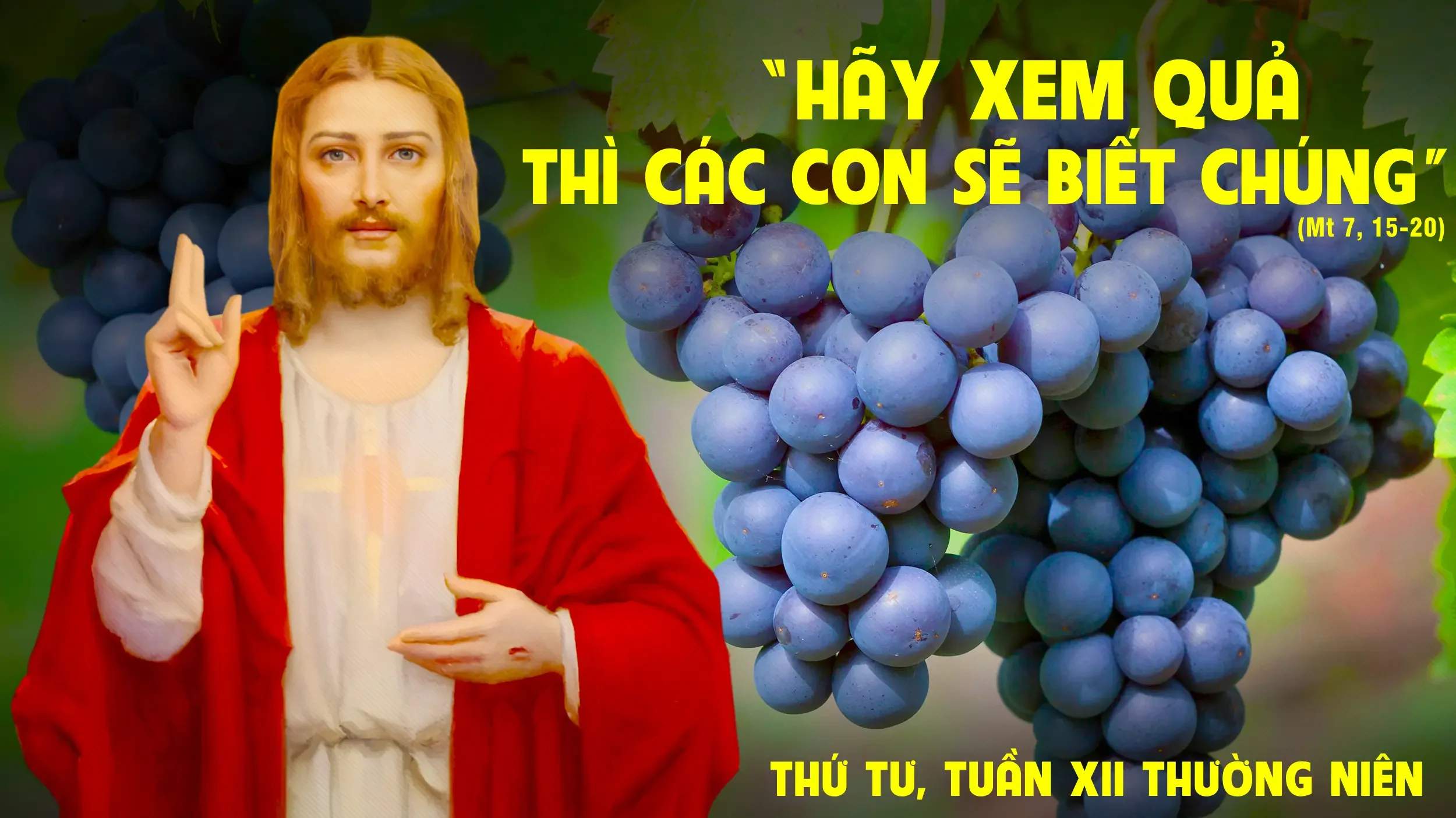 Thứ Tư, Tuần XII, Thường Niên