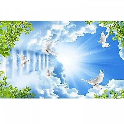 Đường Lên Thiên San