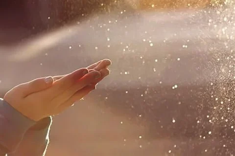 Giêsu Có Thật Không?