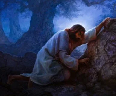 Chuyện Gì Xảy Ra Trong Vườn Cây Dầu?