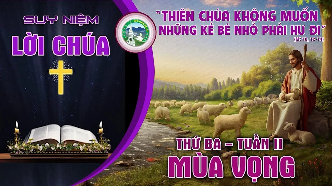 Suy Niệm Lời Chúa – Thứ Ba Tuần II Mùa vọng.