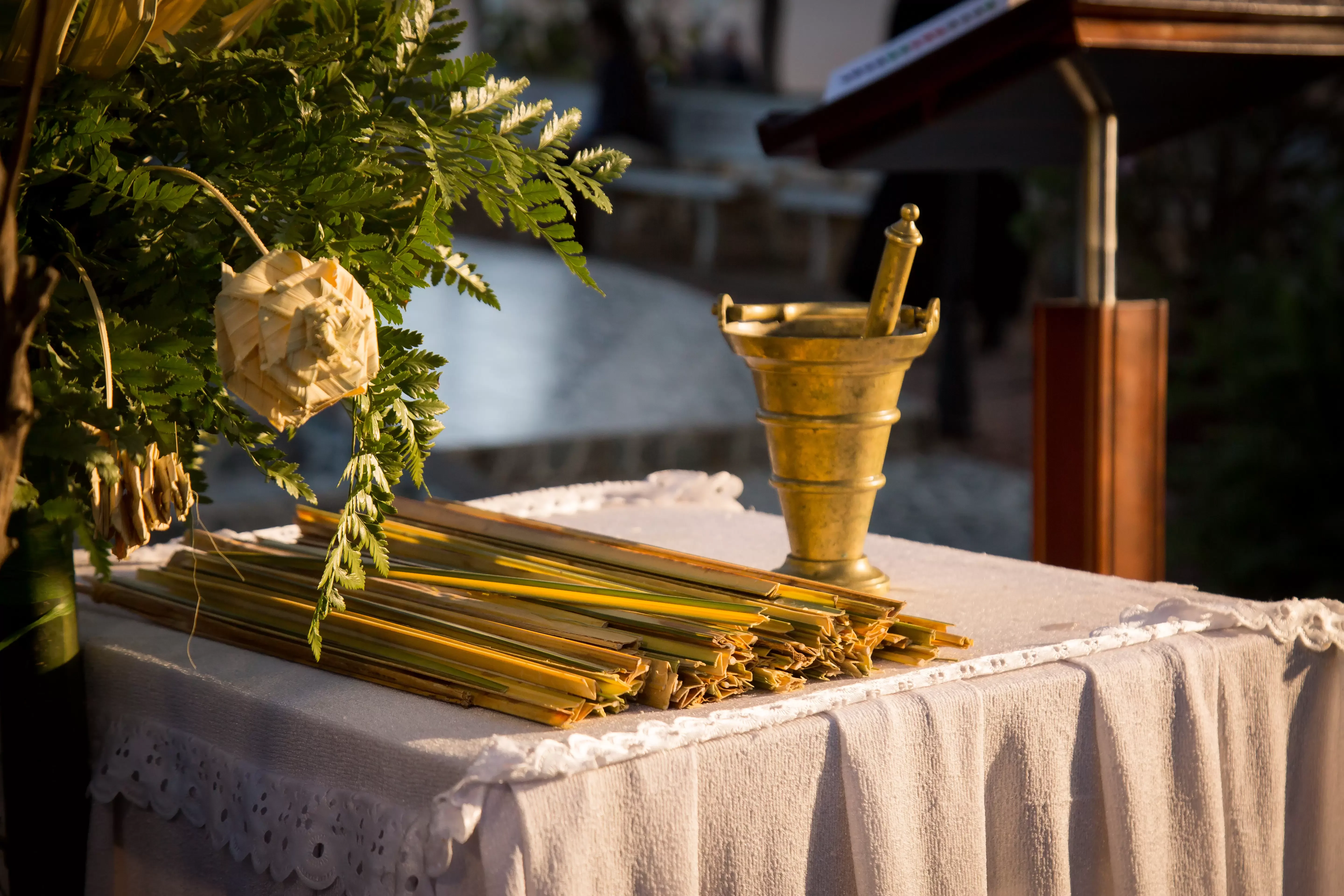 Đức Cha Đaminh Giám Mục Giáo Phận Chủ Sự Lễ Lá – Khai Mạc Tuần Thánh Tại Giáo Xứ Chính Tòa Đà Lạt