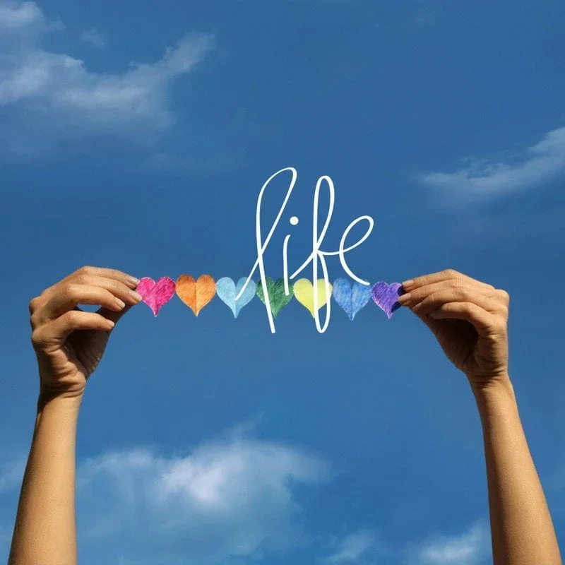 Sống Cuộc Đời Mình