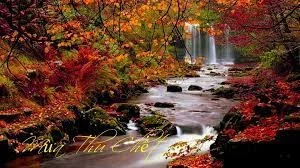 Mùa Thu Đã Chết!