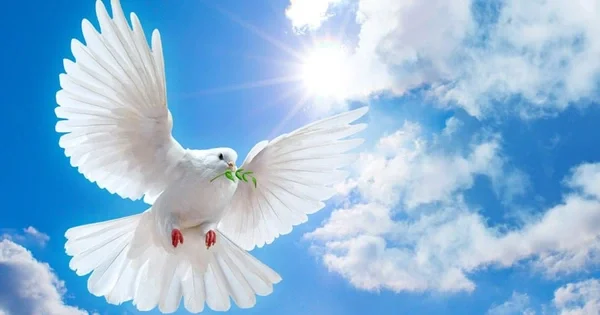 Giờ Chầu Thánh Thể: Cầu Xin Hoà Bình Cho Nga và Ukraina