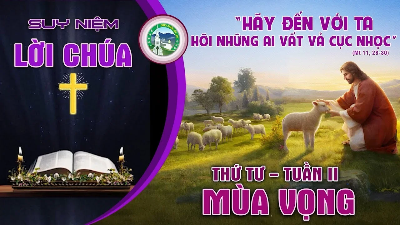 Suy Niệm Lời Chúa – Thứ Tư Tuần II Mùa vọng.