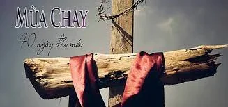 THỐNG HỐI MÙA CHAY 2008