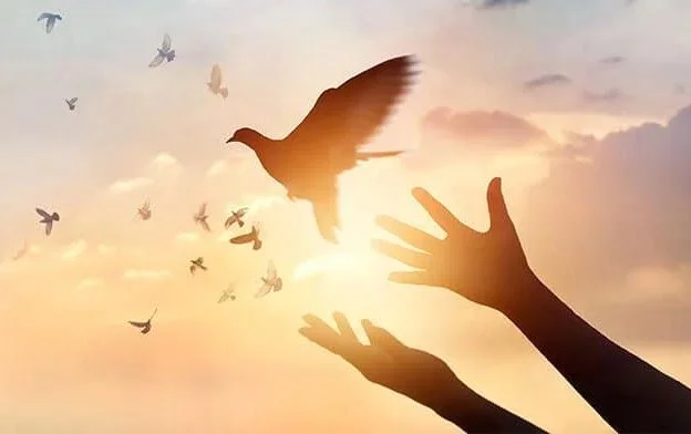 Năm Thánh 2010: Hoà giải và tha thứ (Bài 6)