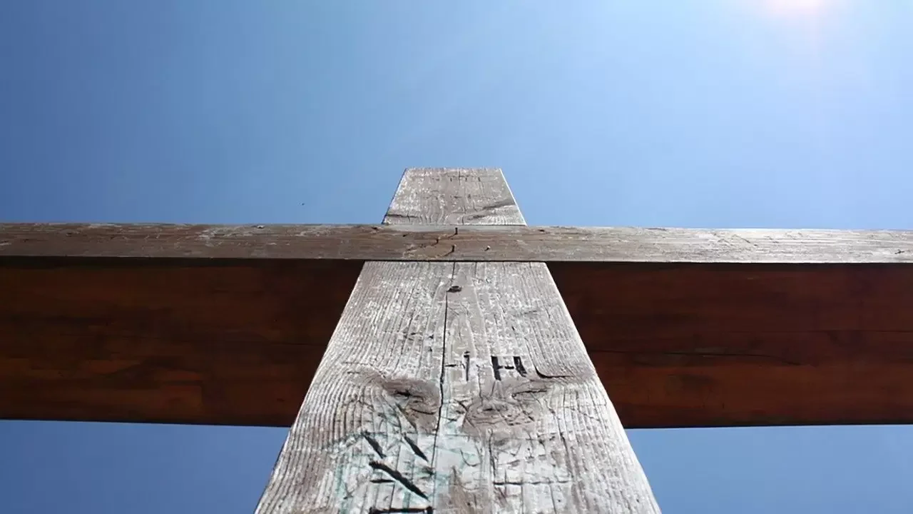 Bông Sen Và Thập Giá