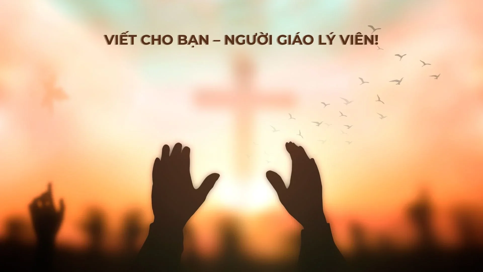 Viết cho bạn – người giáo lý viên!