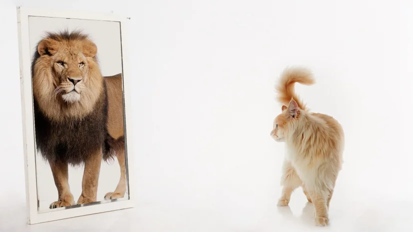 Ảo Tưởng Về Chính Mình