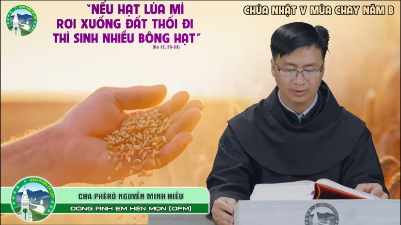 Những Nghịch Lý Của Tin Mừng – Lm. Phêrô Nguyễn Minh Hiếu, OFM. | CN V Mùa Chay Năm B