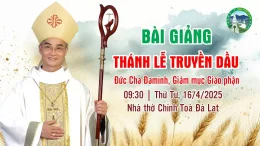 Bài Giảng Lễ Truyền Dầu 2025