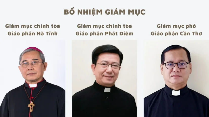 BỔ NHIỆM GIÁM MỤC CHÍNH TÒA CÁC GIÁO PHẬN HÀ TĨNH VÀ PHÁT DIỆM, GIÁM MỤC PHÓ GIÁO PHẬN CẦN THƠ