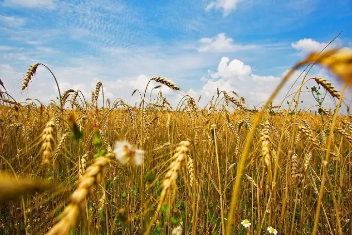 Tin Mừng Với Bạn Trẻ 01/08/2023